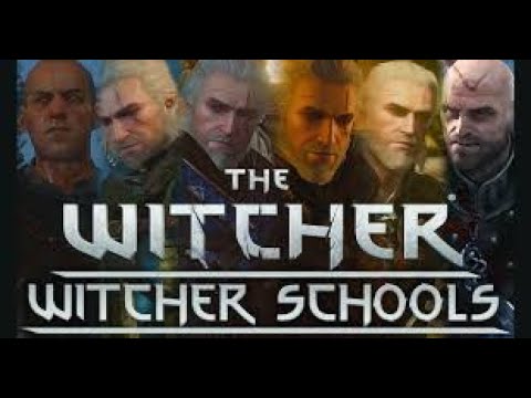 What are the Witcher schools?