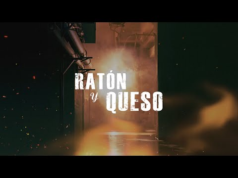Ratón y Queso - El Cartel de los Sapos ♪ Canción oficial - Letra | Caracol TV