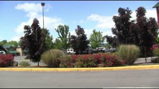 MEDFORD OREGON HAS TWO TOGO'S NOW