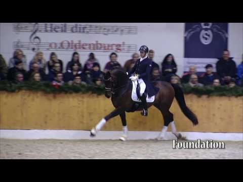 Foundation - deutsch - 2017