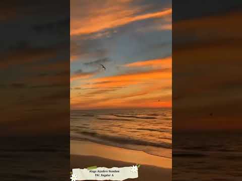 Ruang lingkup Islamic Worldview | Dr. Ahmad Alim, Lc., MA | Edited by Alsya Azzahra Hamdani