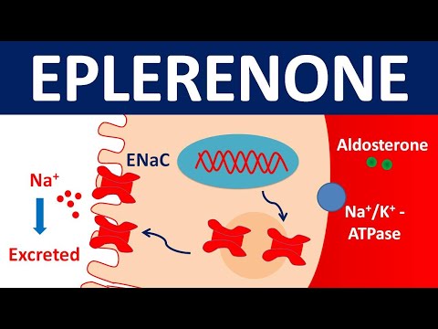 25mg Urenone Eplerenone Tablets