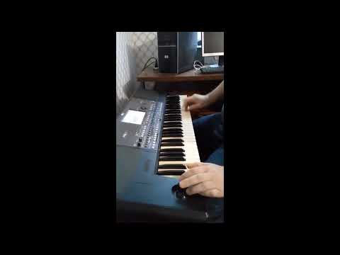 KORG pa600 neu Arm D 50 FX  001