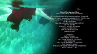 Wide Sargasso Sea  - w/ lyrics ~ STEVIE NICKS