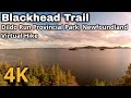 4K Virtual Hike Blackhead Trail Dildo Run Provincial Park Newfoundland And Labrador