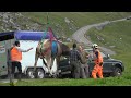 ヘリコプター救助で牛がスイスの牧草地上空を飛ぶ