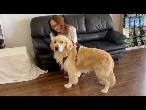 YouTube 썸네일