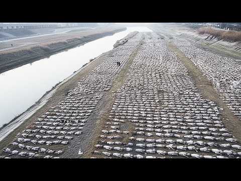 Here Is Why the U.S. Doesn't Allow Puerto Rico Succeed