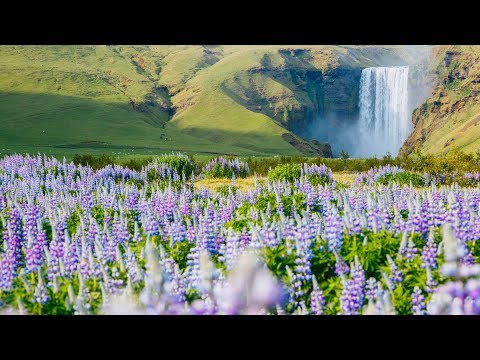 #Stayhome, For Earth Day, #withme,  "Peaceful Relaxing Instrumental Music" by Tim Janis