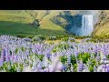 #Stayhome, For Earth Day, #withme,  "Peaceful Relaxing Instrumental Music" by Tim Janis