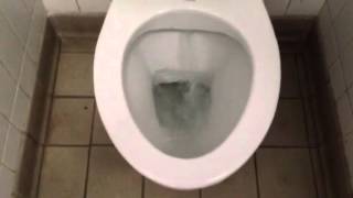 Salterns toilets, Stubbington, Hampshire HLBI (Dudleys)