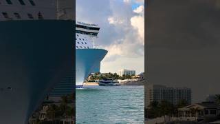 Allure of the Seas 🛳️ #share #like #subscribe #comment #cruise #vacation #shortvideo #shortsvideo