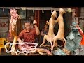 Eating Dogs in China: Dog Days of Yulin (Part 1/2)