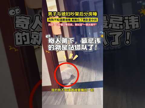 男子與媳婦吵架後分房睡，狗狗不知道跟誰睡，竟睡在了兩臥室中間，網友：它好懂人情世故，竟知道\一碗水端平\！#shorts#萌宠
