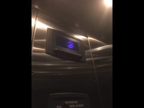 thyssenkrupp Elevator - Center for Sustainable Landscapes - Phipps Conservatory - Pittsburgh, PA