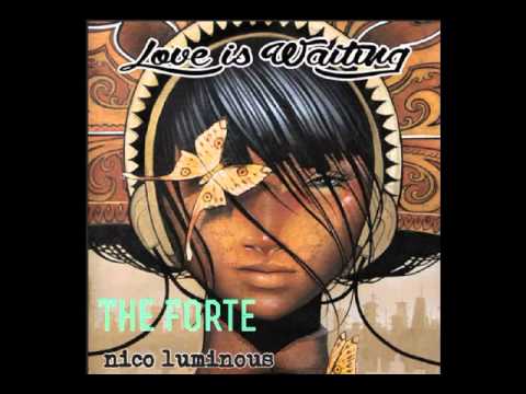 Nico Luminous - The Forte