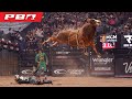 THEY CAN FLY Big Time Bull Power