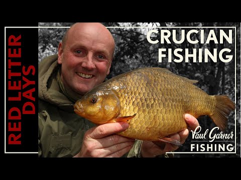Crucian Carp Fishing : Crucian Baits, Crucian Rigs and Top Crucian Tactics.