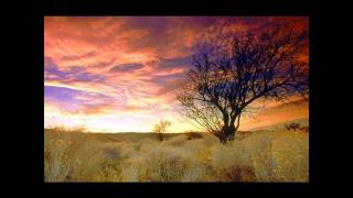 Frost - Amygdala (Mind over Midi's Emotional Memories Mix)