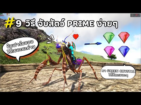 EP 9 ARK Eternal How to catch Prime animals easily