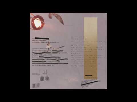 Paziest - Debris [Full Beat Tape]