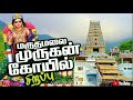 maruthamalaikku neenga vanthu parunga | Tamil Murugan song | Thiruvarul movie songs |