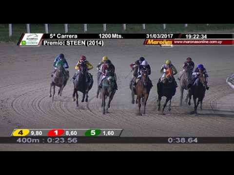 31/03/2017 – Hipodromo Maroñas – Carr 5 – STEEN (2014)