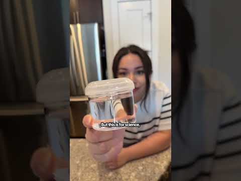 Testen von Museumsgel zur sicheren Aufbewahrung von Objekten | Das Paket