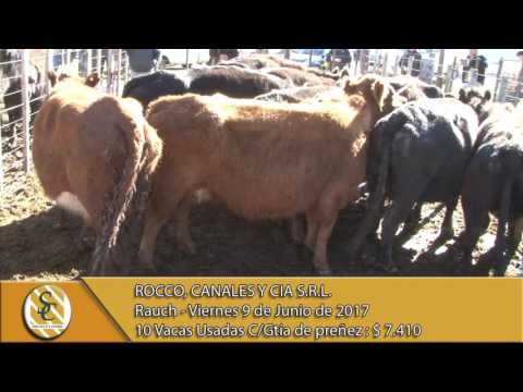 09-06-17 Venta de Vientres - Rocco, Canales y Cía. S.R.L. - Rauch