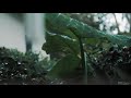 Rain Status Video Barish Whatsapp Status And Natural Status Video