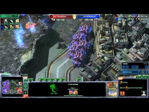 Dimaga(Z) vs. Tarrantius(P) - StarCraft: Heart of the Swarm - #01/2013
