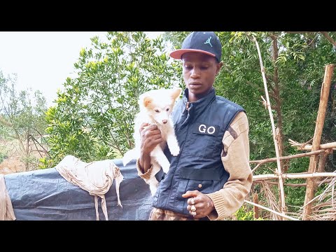 Costoh -shadohmadoh madoido Freestyle song +miondoko dance challenge pt2