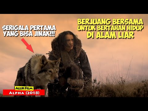 Bertahan Hidup di Alam Liar dan Bersahabat Dengan Serigala | Alur Cerita Film Alpha (2018)