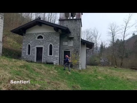 Nel Canal di Cuna da Selvapiana a Piedigiaf - SentieriNatura 2016 - 09