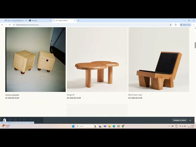 Shopify developers developer - Abhinav T.'s portfolio image