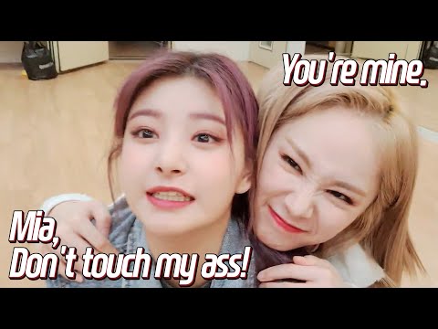 EVERGLOW Yiren is Mia's Pet