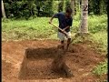 බුලත් වගාව සදහා පාත්ති සැකසීම