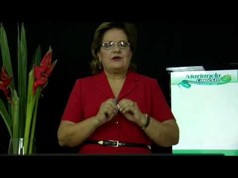 Mi encuentro con la psiconeuroinmunología