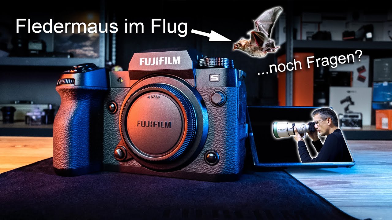 Fuji X-H2s TEST 📸💨 High AF performance and APS-C price? Bird on wire