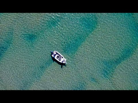 Castaway Estuary Fishing Charters