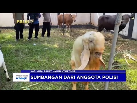 POLRES KUTAI BARAT BAGIKAN PAKET KURBAN KE YATIM PIATU