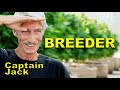 Memoirs Of A Cannabis Breeder Captain Jack Documentary Interview