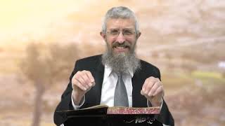 מסכת מנחות דף קט - 8 דקות של לומדות ועמקות בדרך הלימוד הישיבתית [Menachot 109]