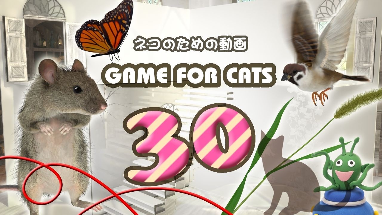 【猫用動画MIX30】ネズミ・鳥・ヒモ・UFOなど ４時間 GAME FOR CATS 30