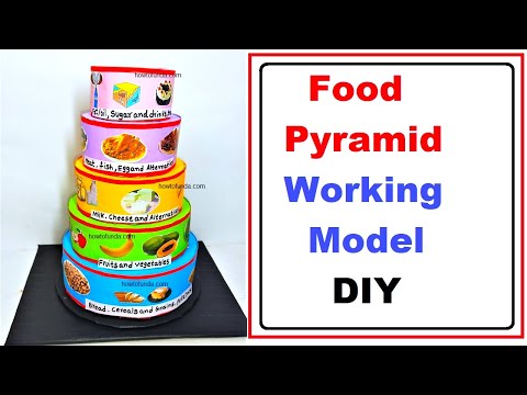 Food Pyramid Working Model 3d Making Science Project DIY HowToFunda