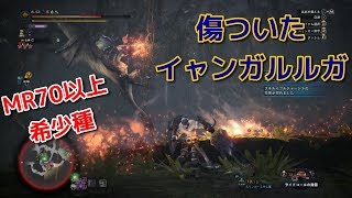 【MHW:IB】(MR70)希少種：傷ついたイャンガルルガ、勝てねえｗ【モンスターハンター/モンハンアイスボーン】