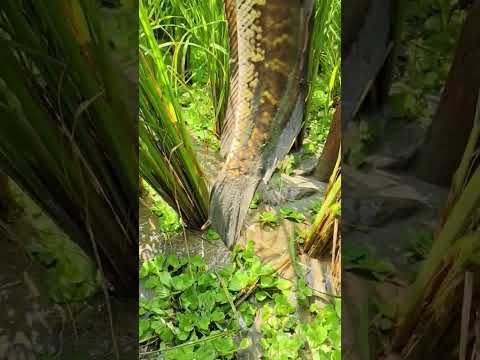 Reel tagged #fish