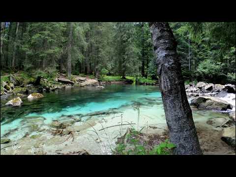 Relaxing Meadow with Ambient Nature Sounds, Wildflowers, and Mountain View