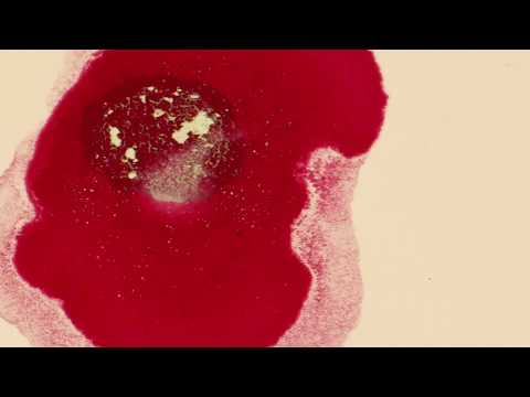 SonicSolo | Andreas Skouras ● Cembalo | 24. Juni 2020 St. Ludwig München | Live recording