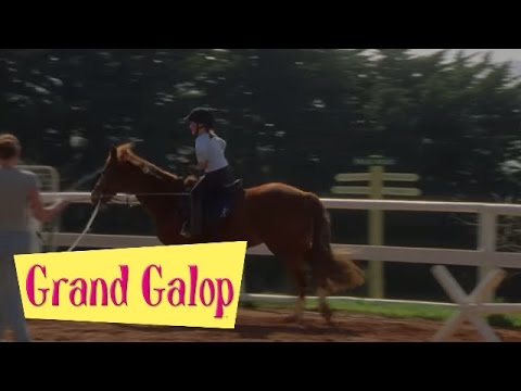Grand Galop 116 - Le Cheval volant | HD | Épisode Complet